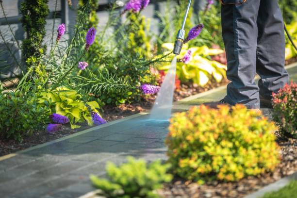 Best Sidewalk and Walkway Cleaning  in Mayfield, PA